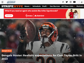 'stripehype.com' screenshot
