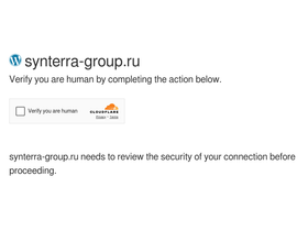 synterra-group.ru