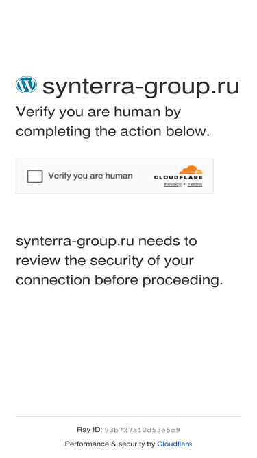 synterra-group.ru