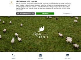 trimcastlehotel.com