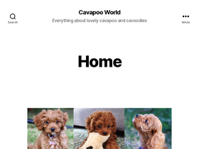 cavapooworld.com