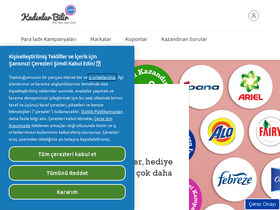 'kadinlarbilir.com' screenshot