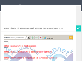 aspnetornekleri.com