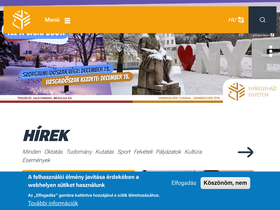 'karrier.nye.hu' screenshot