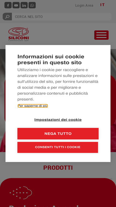 siliconi.it