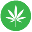 seedhub.shop