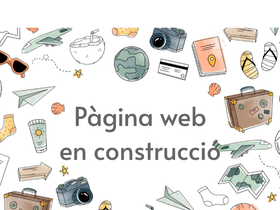 vitviatges.com