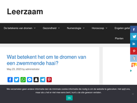 'leerzaam.com' screenshot