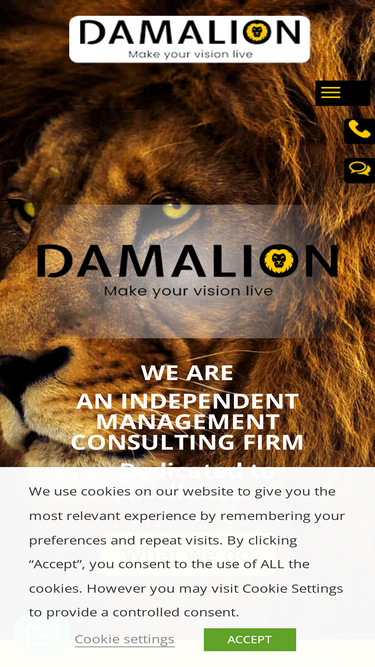 damalion.com