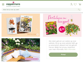 'coppelmans.nl' screenshot