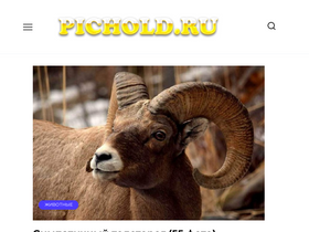 'pichold.ru' screenshot