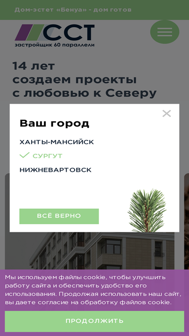 ssthm.ru