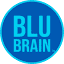 blubrain.co.uk