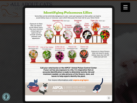 'weareallaboutcats.com' screenshot