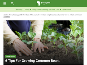 'backyardboss.net' screenshot