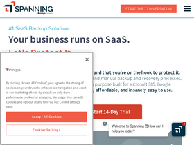 'spanning.com' screenshot