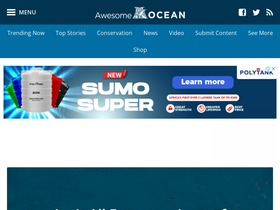 awesomeocean.com