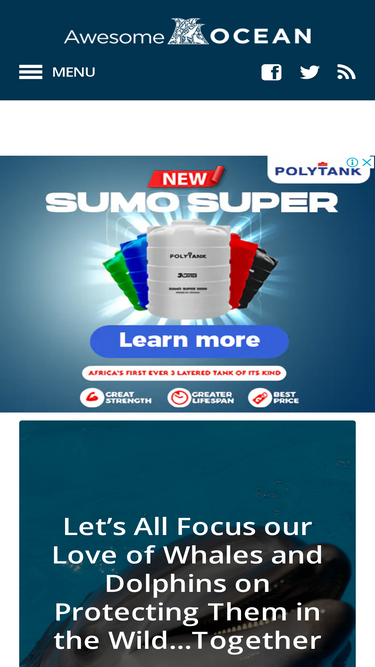 awesomeocean.com