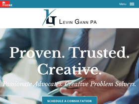 levingann.com