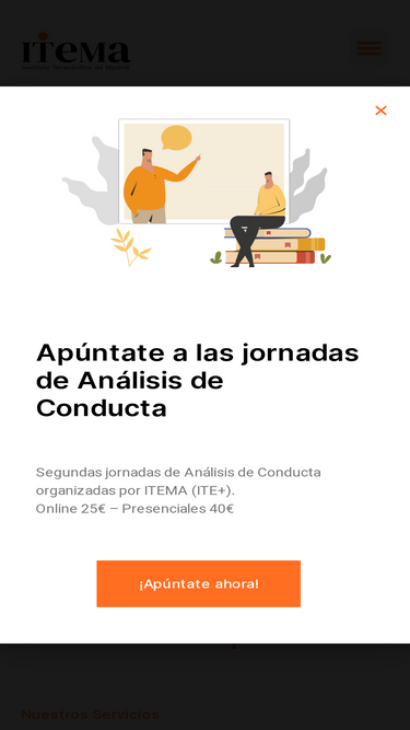 itemadrid.net