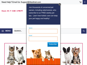 'askariel.com' screenshot