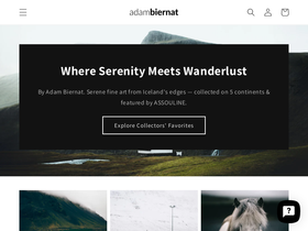 adambiernatstudio.com homepage screenshot