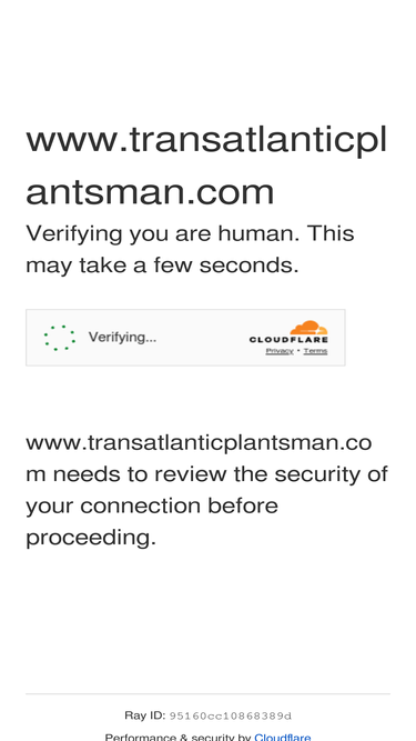 transatlanticplantsman.com