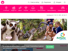 'ticketveiling.nl' screenshot