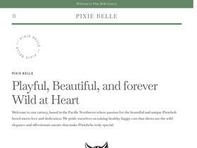 shypixie.com homepage screenshot