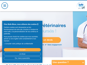 'bullebleue.fr' screenshot