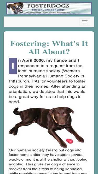 fosterdogs.com