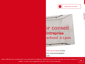 emlyonjuniorconseil.com