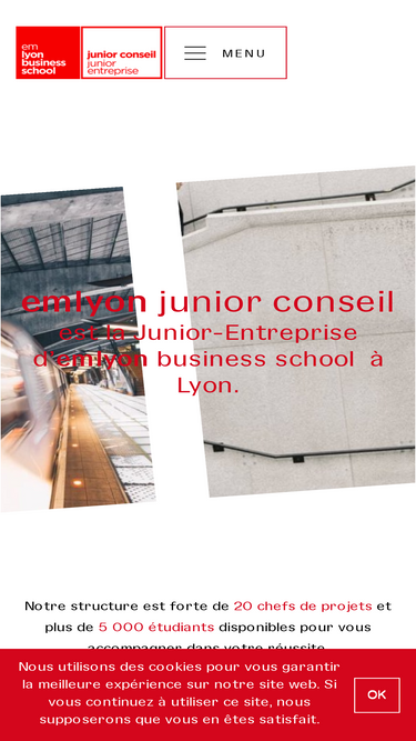 emlyonjuniorconseil.com