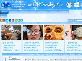 'ovgorskiy.ru' screenshot