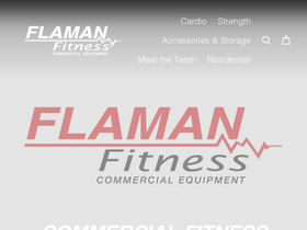 flamancommercial.com homepage screenshot