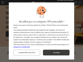 'rhinov.fr' screenshot