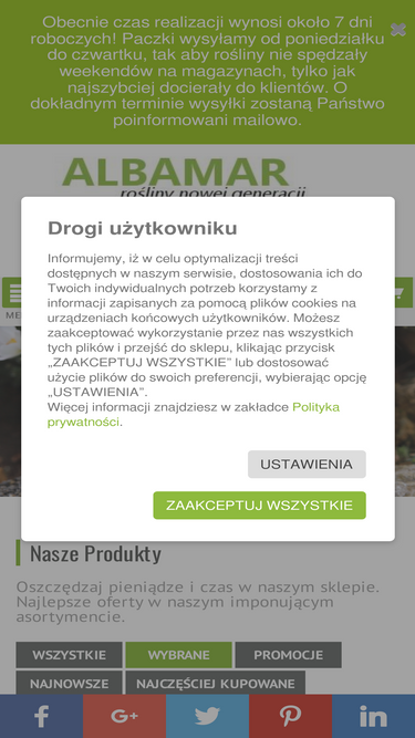 albamar.pl