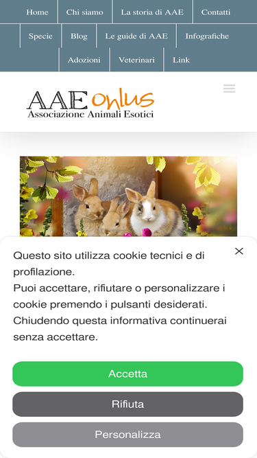 aaeonlus.org