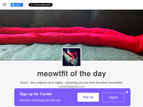 meowtfit.tumblr.com
