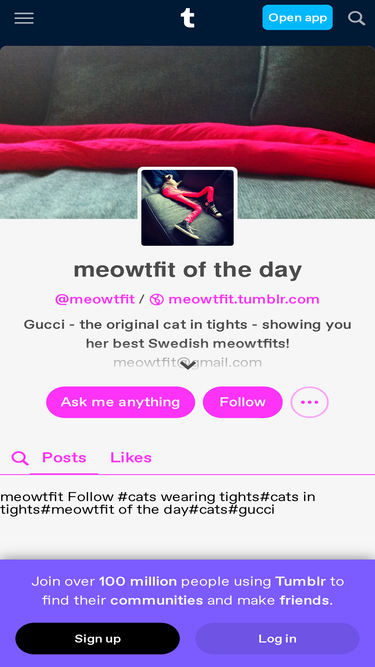 meowtfit.tumblr.com