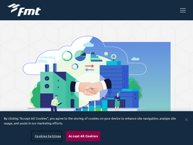 fmtconsultants.com