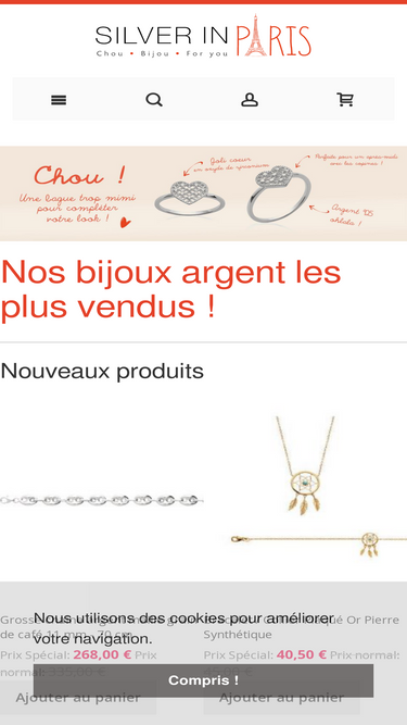 silverinparis.com