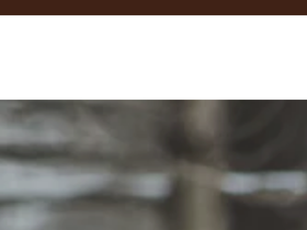 Still Bloom website screenshot