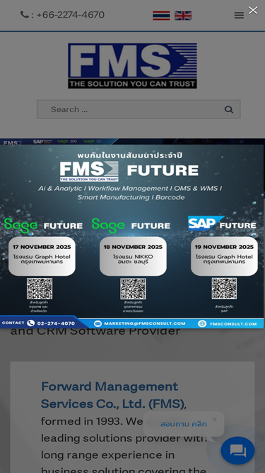 fmsconsult.com