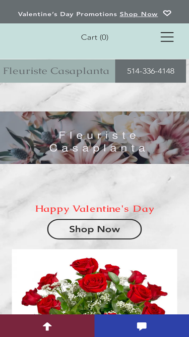 fleuristecasaplanta.com