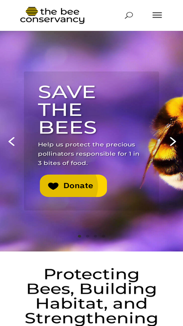 thebeeconservancy.org