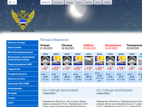 'cgms.ru' screenshot