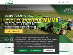 bobruiskagromach.com