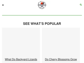 'mybackyardlife.com' screenshot