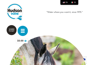 hudsonvalve.com